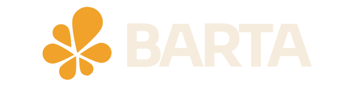 BARTA IT-Services